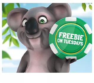 Koala's Diary